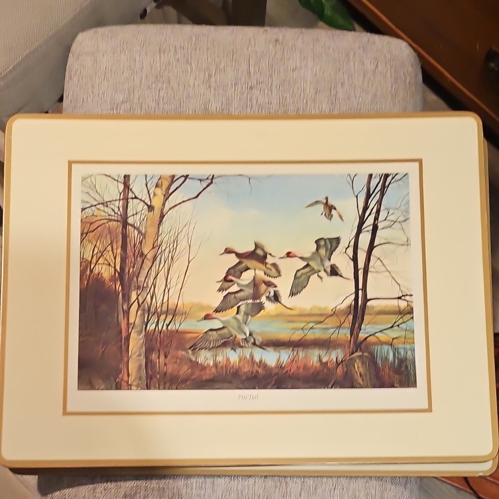 Duck Print Wall Art